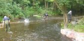 Lions clearing rocks in river Otter ready for ducks