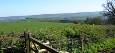 Looking over the Otter vally with Honiton to the left