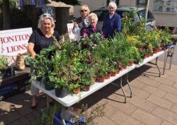 Lions Ladies fundraising with their plant stall